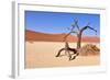 Namib Desert-Karel Gallas-Framed Photographic Print