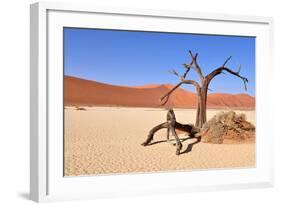 Namib Desert-Karel Gallas-Framed Photographic Print