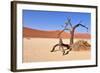 Namib Desert-Karel Gallas-Framed Photographic Print