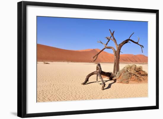 Namib Desert-Karel Gallas-Framed Photographic Print