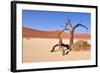 Namib Desert-Karel Gallas-Framed Photographic Print