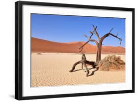 Namib Desert-Karel Gallas-Framed Photographic Print