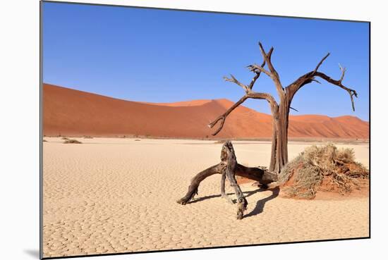 Namib Desert-Karel Gallas-Mounted Photographic Print