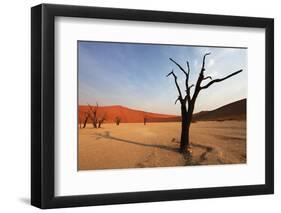 Namib Desert-Andrushko Galyna-Framed Photographic Print