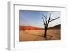 Namib Desert-Andrushko Galyna-Framed Photographic Print