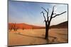 Namib Desert-Andrushko Galyna-Mounted Photographic Print