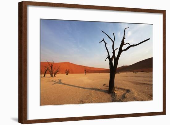 Namib Desert-Andrushko Galyna-Framed Photographic Print