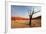 Namib Desert-Andrushko Galyna-Framed Photographic Print