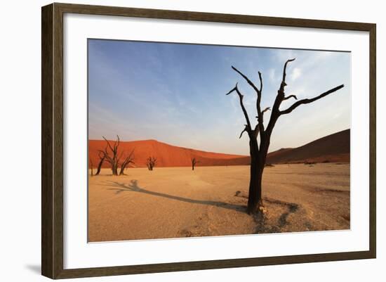 Namib Desert-Andrushko Galyna-Framed Photographic Print