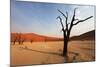 Namib Desert-Andrushko Galyna-Mounted Photographic Print