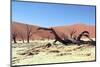 Namib Desert-Leksele-Mounted Photographic Print