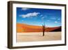 Namib Desert-DmitryP-Framed Photographic Print