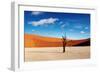 Namib Desert-DmitryP-Framed Photographic Print