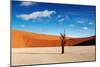 Namib Desert-DmitryP-Mounted Photographic Print