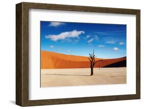 Namib Desert-DmitryP-Framed Photographic Print