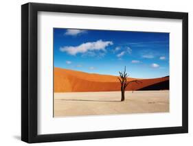 Namib Desert-DmitryP-Framed Photographic Print