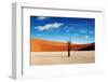 Namib Desert-DmitryP-Framed Photographic Print