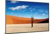 Namib Desert-DmitryP-Mounted Photographic Print