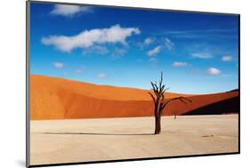 Namib Desert-DmitryP-Mounted Photographic Print
