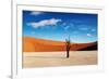 Namib Desert-DmitryP-Framed Photographic Print