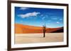 Namib Desert-DmitryP-Framed Photographic Print