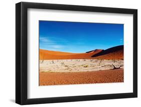 Namib Desert-DmitryP-Framed Photographic Print