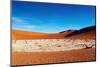 Namib Desert-DmitryP-Mounted Photographic Print