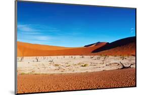 Namib Desert-DmitryP-Mounted Photographic Print