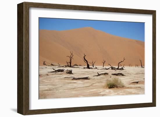 Namib Desert-Twentytwo-Framed Photographic Print
