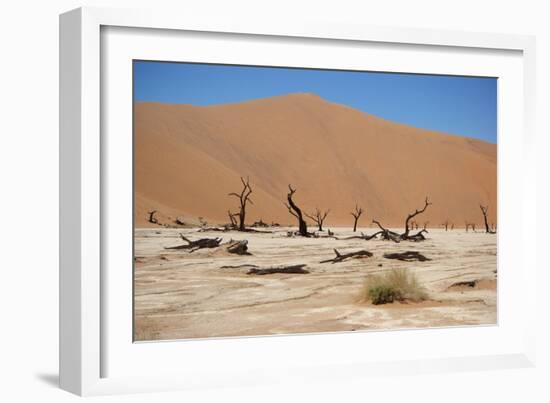 Namib Desert-Twentytwo-Framed Photographic Print