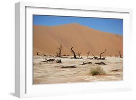 Namib Desert-Twentytwo-Framed Photographic Print