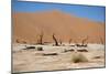 Namib Desert-Twentytwo-Mounted Photographic Print