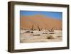 Namib Desert-Twentytwo-Framed Photographic Print