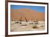 Namib Desert-Twentytwo-Framed Photographic Print