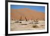 Namib Desert-Twentytwo-Framed Photographic Print