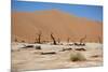Namib Desert-Twentytwo-Mounted Photographic Print
