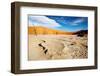 Namib Desert-DmitryP-Framed Photographic Print