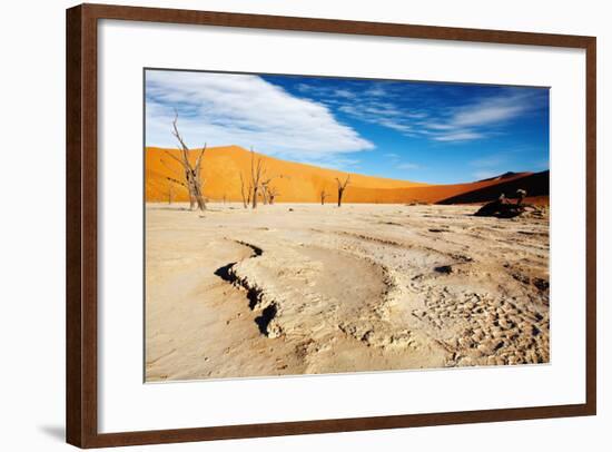 Namib Desert-DmitryP-Framed Photographic Print