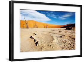 Namib Desert-DmitryP-Framed Photographic Print