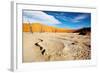 Namib Desert-DmitryP-Framed Photographic Print