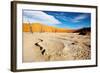 Namib Desert-DmitryP-Framed Photographic Print