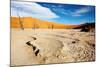 Namib Desert-DmitryP-Mounted Photographic Print