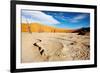 Namib Desert-DmitryP-Framed Photographic Print