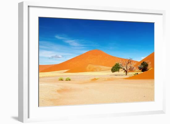 Namib Desert-DmitryP-Framed Photographic Print