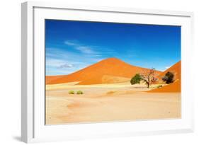 Namib Desert-DmitryP-Framed Photographic Print