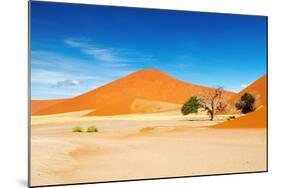 Namib Desert-DmitryP-Mounted Photographic Print