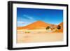 Namib Desert-DmitryP-Framed Photographic Print