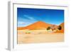 Namib Desert-DmitryP-Framed Photographic Print