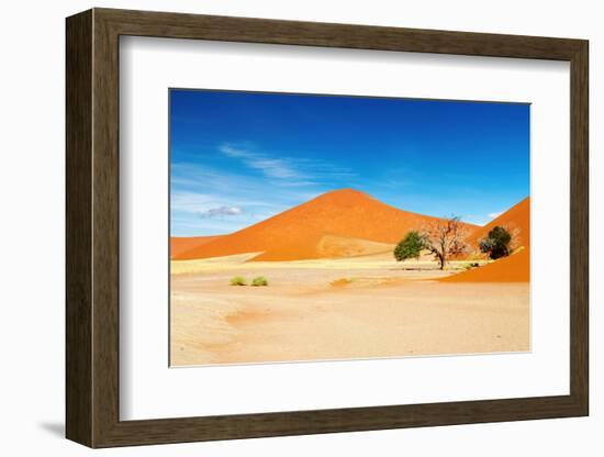 Namib Desert-DmitryP-Framed Photographic Print