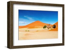 Namib Desert-DmitryP-Framed Photographic Print